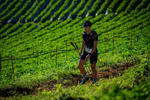 BIB: 20437
                            <button type="button" onclick="openModal(19160814)" class="btn btn-primary btn-sm float-right btn-popup" data-toggle="modal" data-target=".modal-high-quality">
                        <i class="fas fa-shopping-cart"></i> Add to Cart
                    </button>
                                            <button type="button" onclick="isThisMe(19160814, true)" class="btn btn-success btn-sm float-right btn-popup btn-isme hidden" data-toggle="tooltip" data-placement="bottom" title="นี่คือรูปของคุณใช่ไหม คลิกที่นี่เพื่อเอาเข้าอัลบั้ม">
                        <i class="fas fa-plus"></i> Add to album
                    </button>
                    <button type="button" onclick="isThisMe(19160814, false)" class="btn btn-warning btn-sm float-right btn-popup btn-isnotme hidden">
                        <i class="fas fa-ban"></i> Remove from album
                    </button>